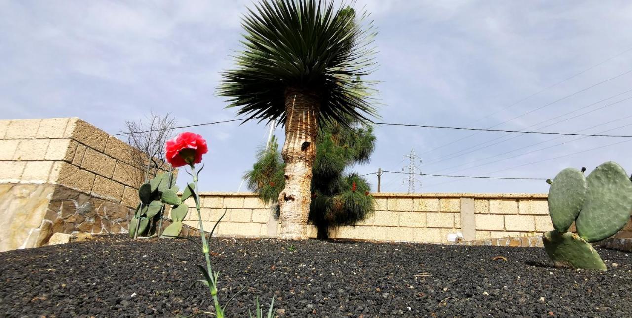 Casa Del Sur, En El Sur De Tenerife Βίλα Granadilla De Abona Εξωτερικό φωτογραφία